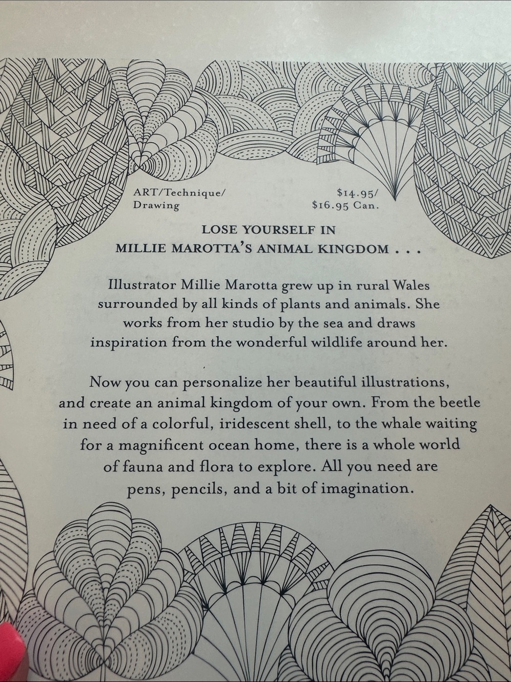 Coloring Book - Picture 4 of 4